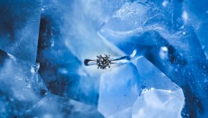 "Take this ring to mean that I want to spend the rest of my life in litigation with you"