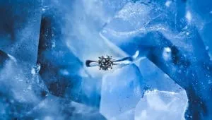 "Take this ring to mean that I want to spend the rest of my life in litigation with you"