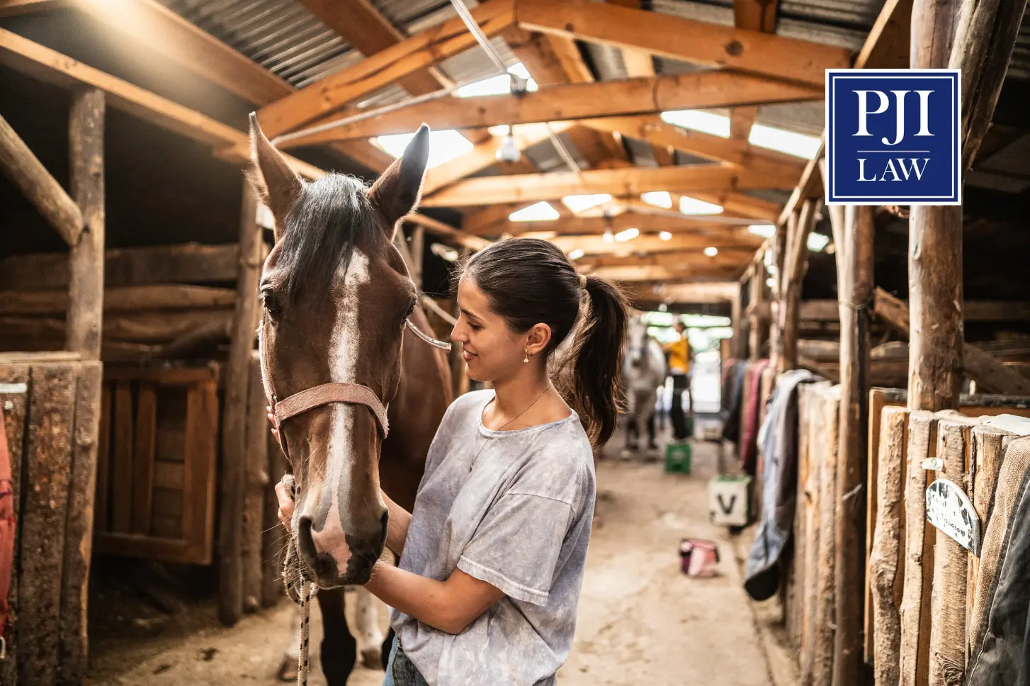 Should You Put Your Horse in a Trust? A Practical Guide to Equine Estate Planning in Virginia